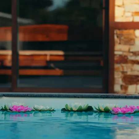 станковата къща 게스트하우스